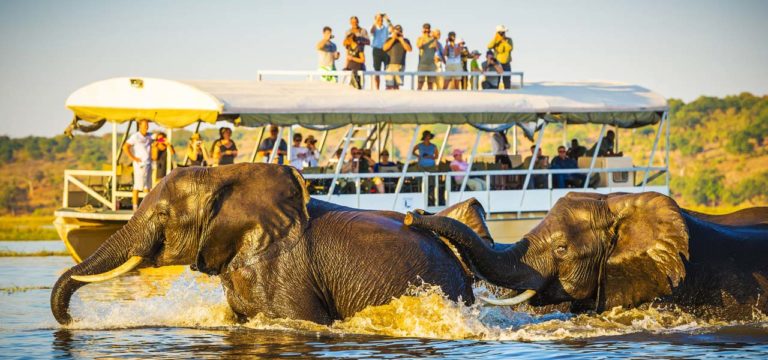 Chobe National Park Botswana With Indiana Travel Services
